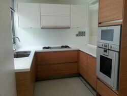 Suites @ Cairnhill (D9), Apartment #605871391